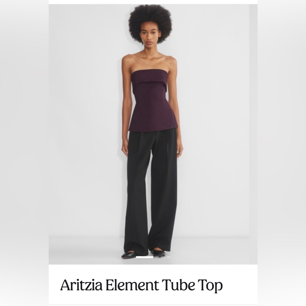 Brand New Aritzia Babaton Element Tube Top